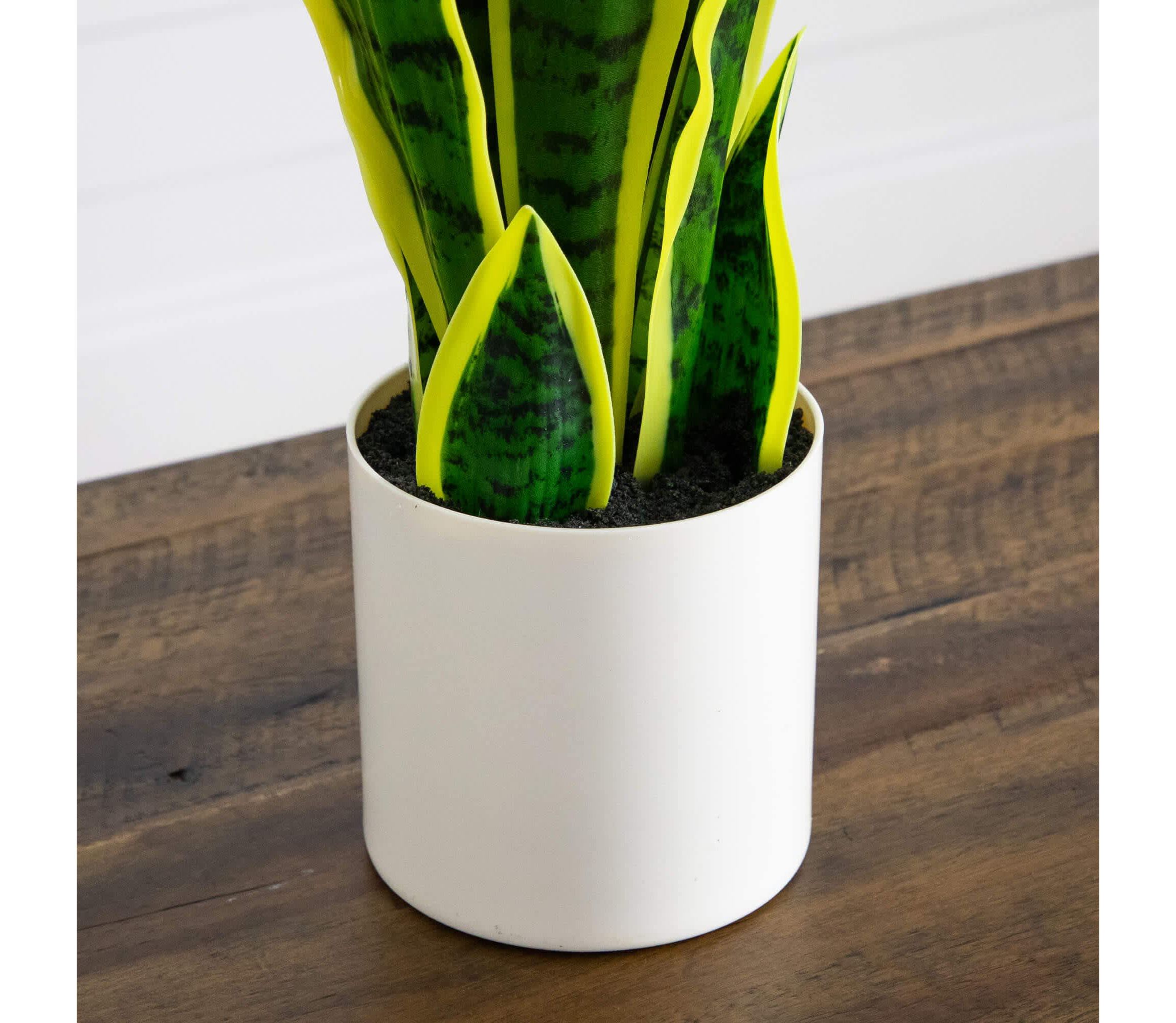 30-Inch Artificial Sansevieria Plant