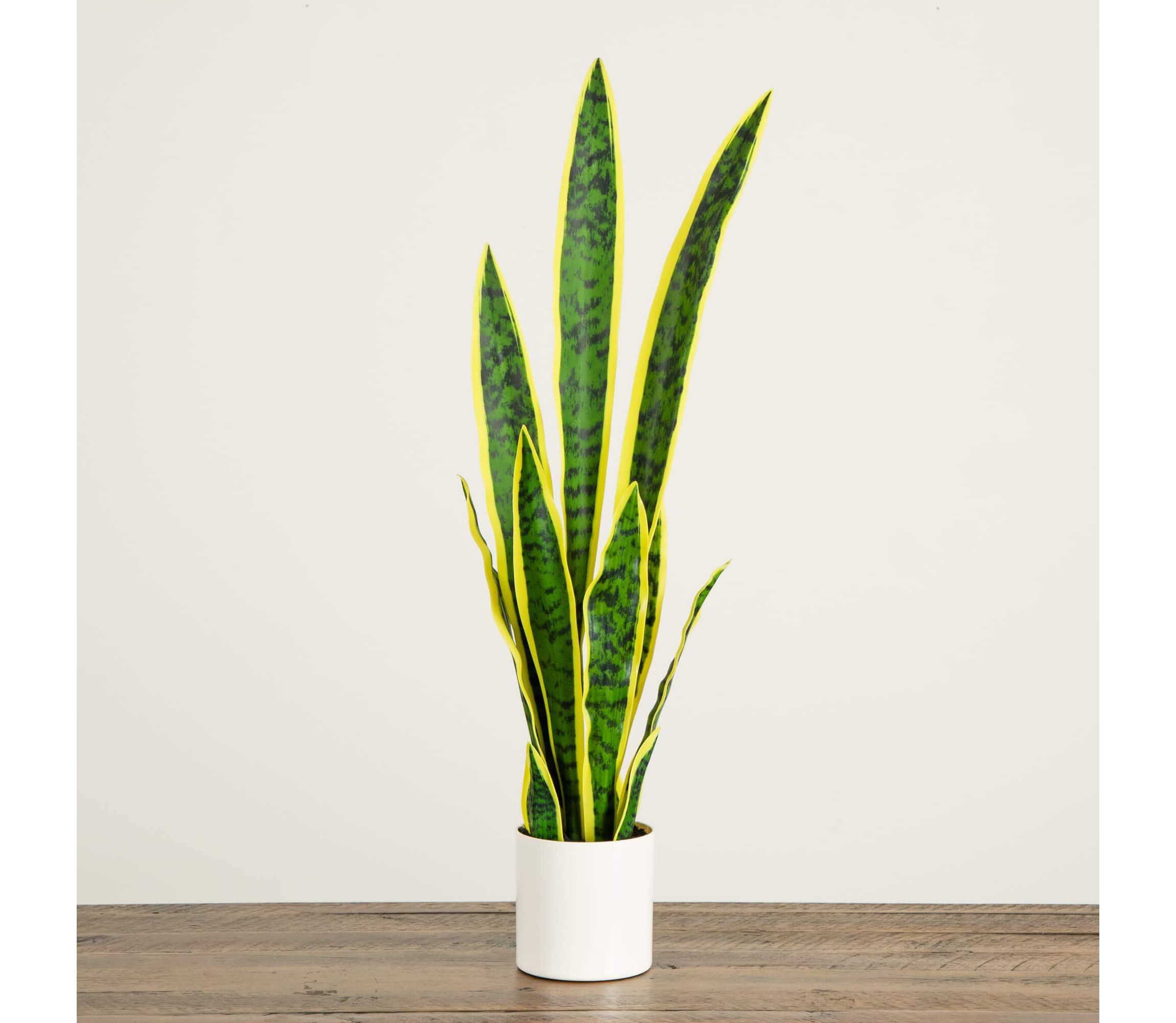 30-Inch Artificial Sansevieria Plant