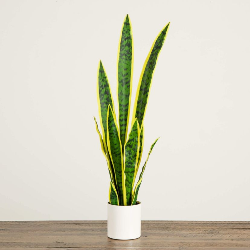 30-Inch Artificial Sansevieria Plant