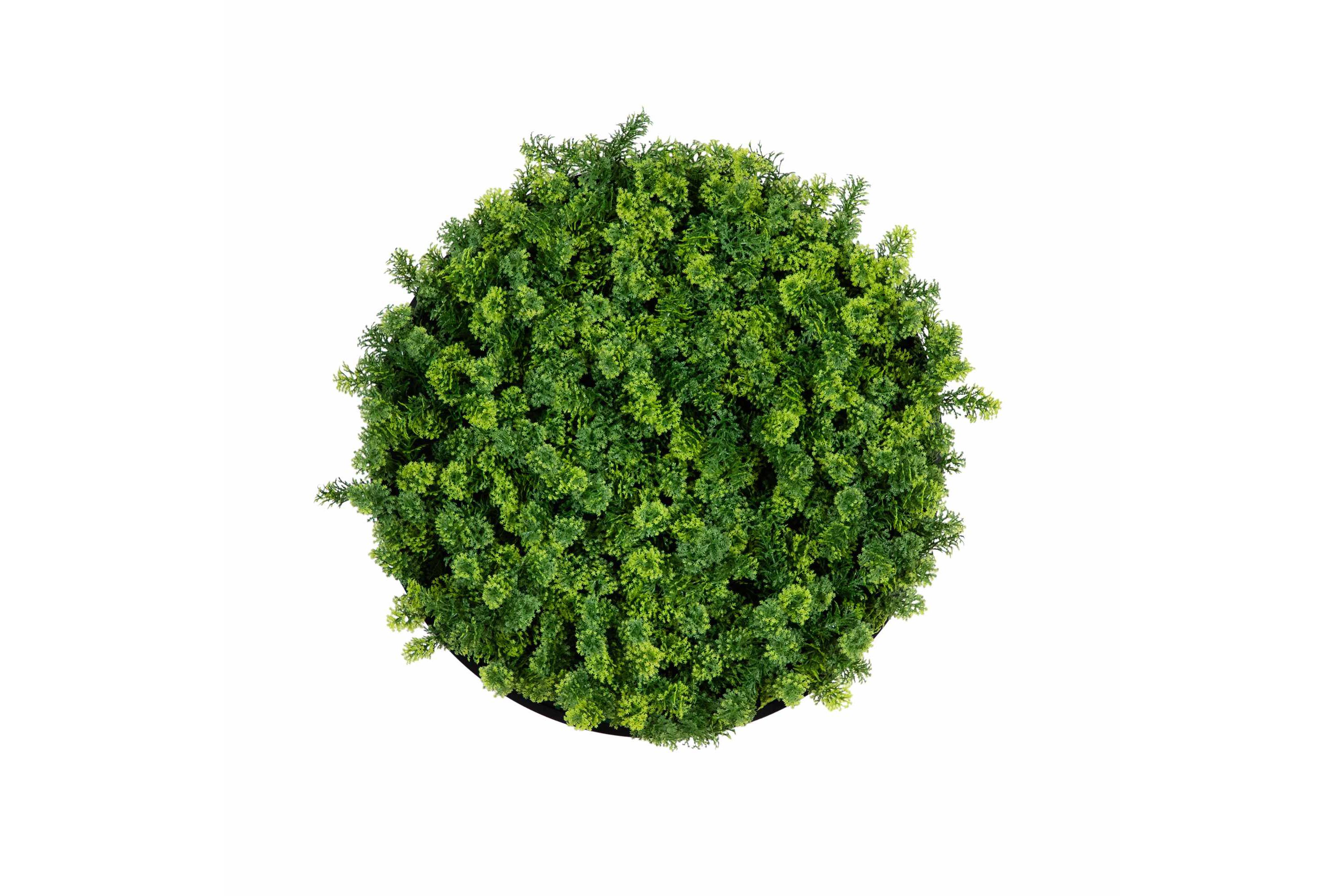 20-Inch UV Resistant Irish Green Meadow Artificial Living Wall Art Panel in Black Aluminum Frame (Indoor/Outdoor)