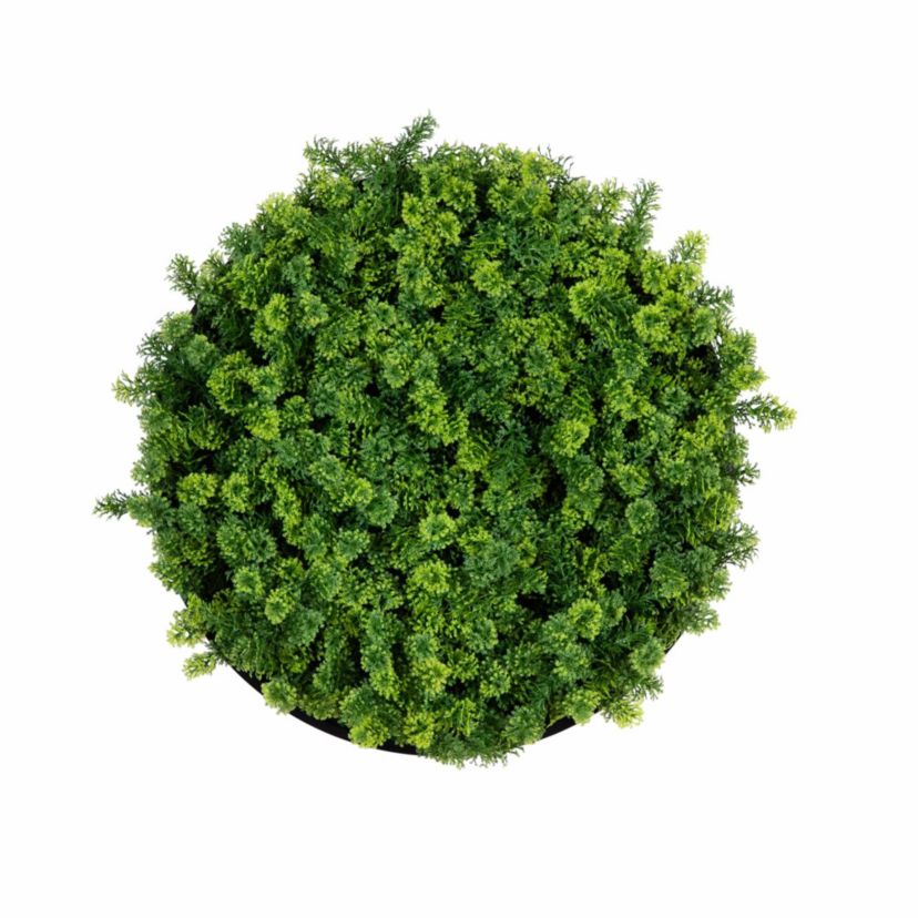 20-Inch UV Resistant Irish Green Meadow Artificial Living Wall Art Panel in Black Aluminum Frame (Indoor/Outdoor)