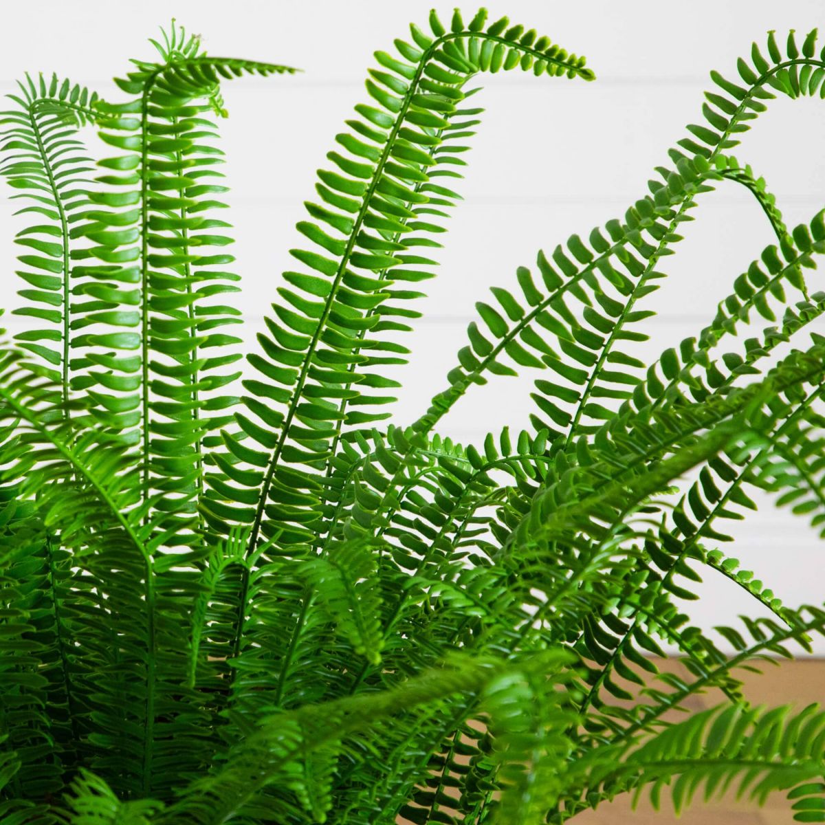3-Foot UV Resistant Artificial Boston Fern Plant with Real Touch Leaves (Indoor/Outdoor)