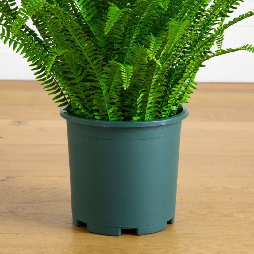 3-Foot UV Resistant Artificial Boston Fern Plant with Real Touch Leaves (Indoor/Outdoor)