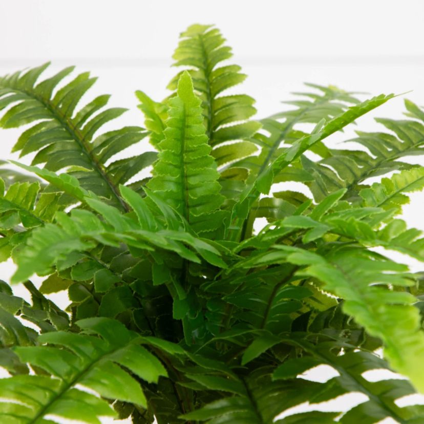 19-Inch  UV Resistant Artificial Boston Fern (Indoor/Outdoor) - Set of 2