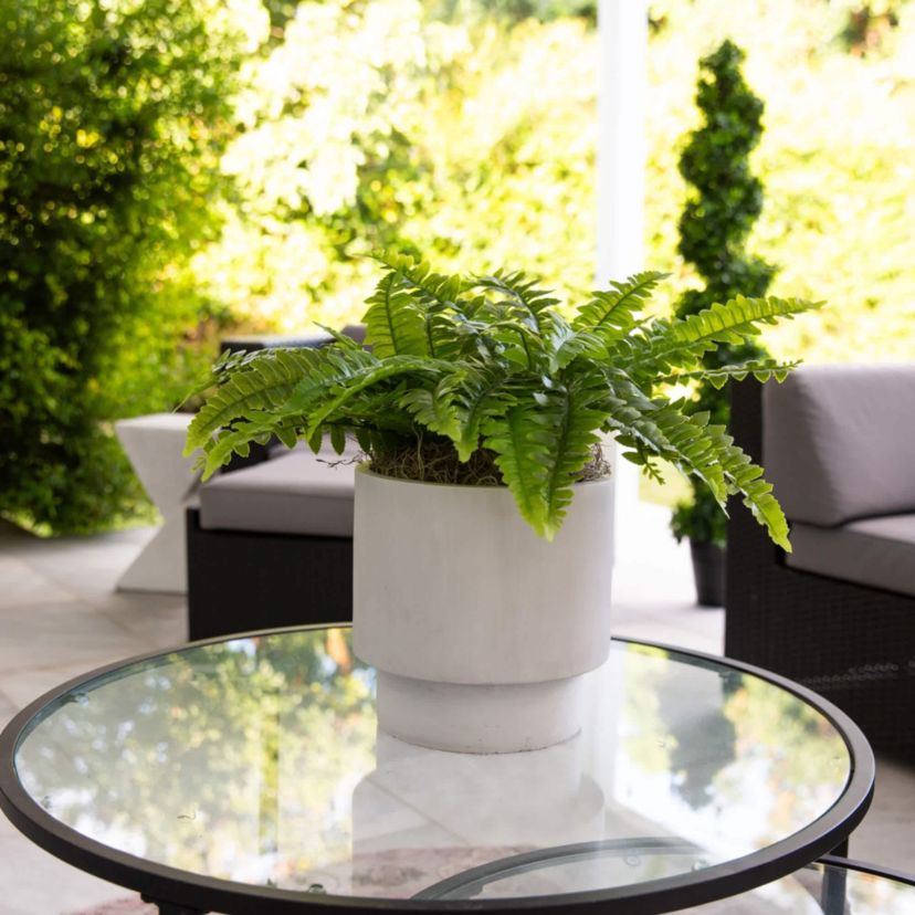 19-Inch  UV Resistant Artificial Boston Fern (Indoor/Outdoor) - Set of 2