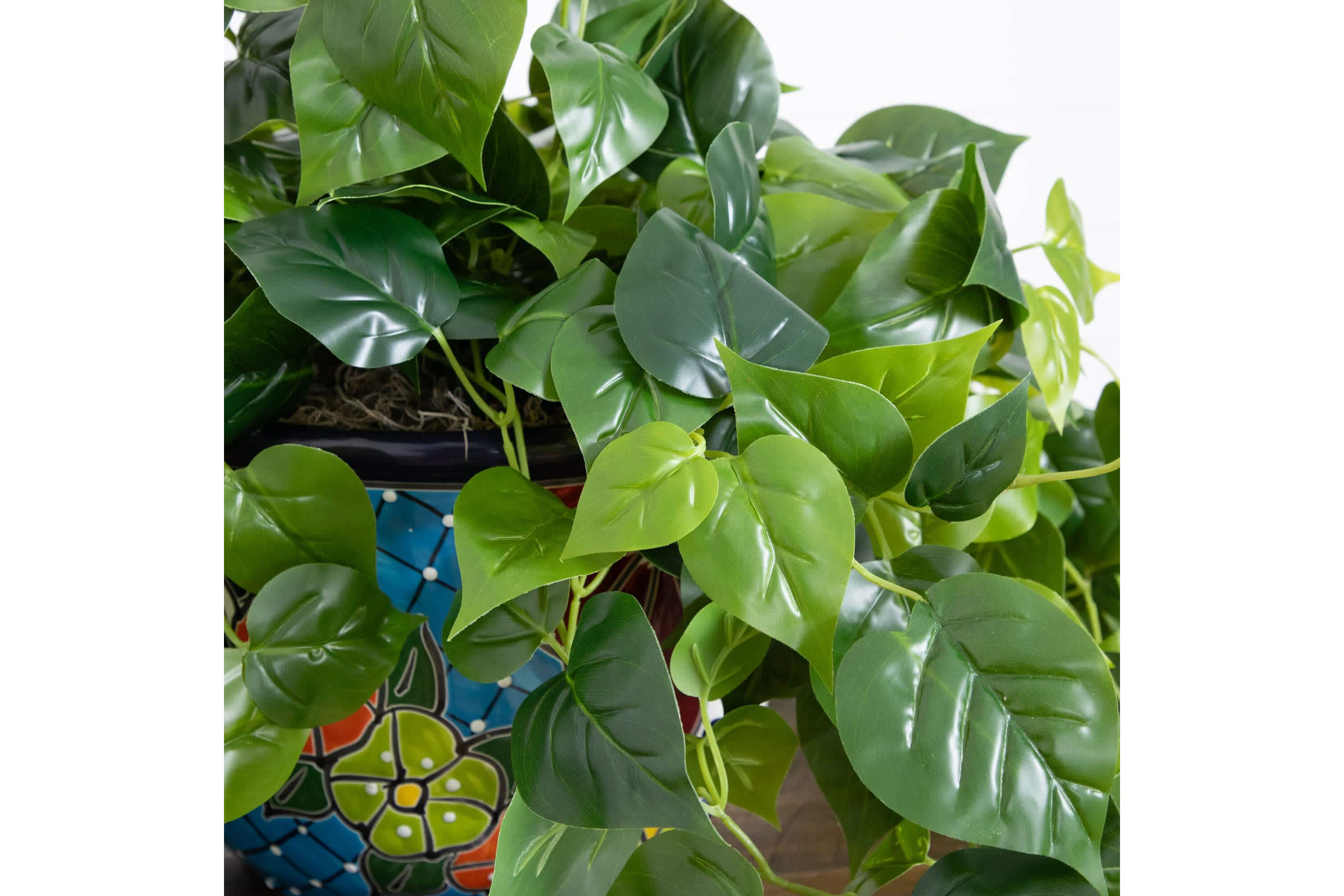42-Inch  UV Resistant Artificial Philodendron in Handmade Mexican Talavera Ceramic Planter (Indoor/Outdoor)
