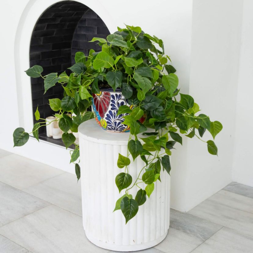 42-Inch  UV Resistant Artificial Philodendron in Handmade Mexican Talavera Ceramic Planter (Indoor/Outdoor)