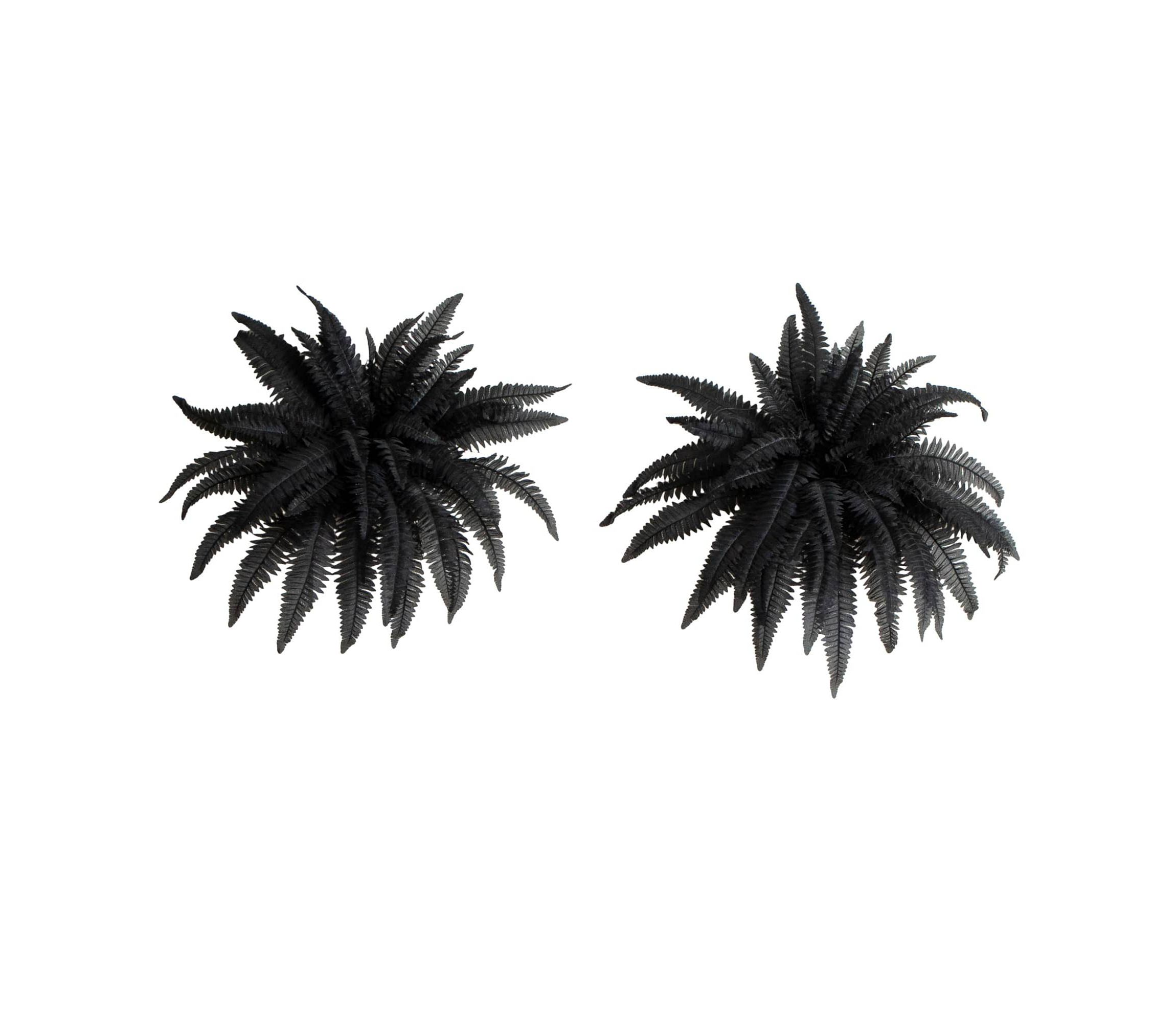 40-Inch Artificial Halloween Black Boston Fern - Set of 2