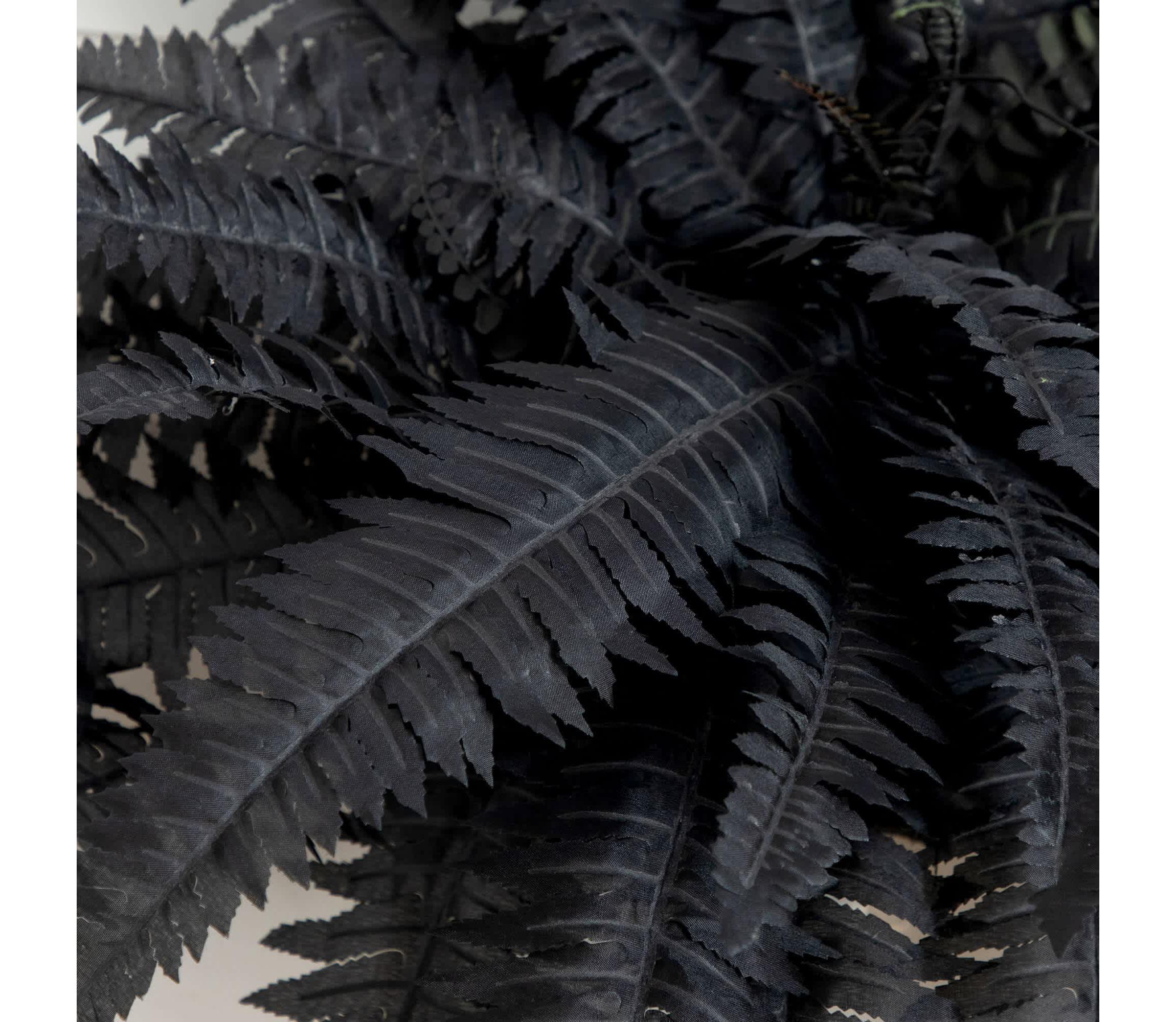 40-Inch Artificial Halloween Black Boston Fern - Set of 2