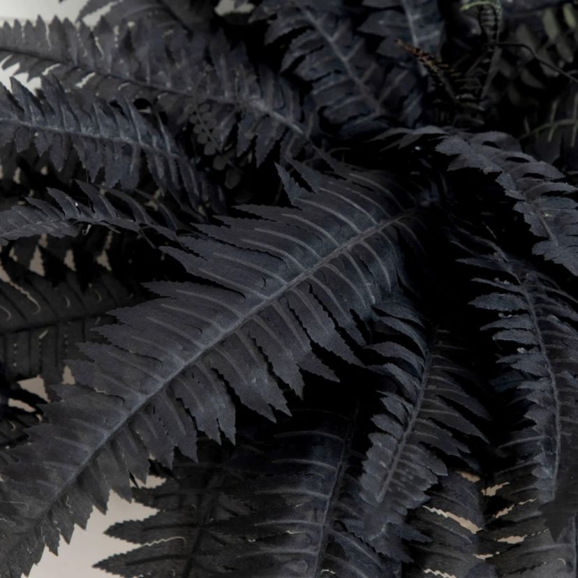 40-Inch Artificial Halloween Black Boston Fern - Set of 2
