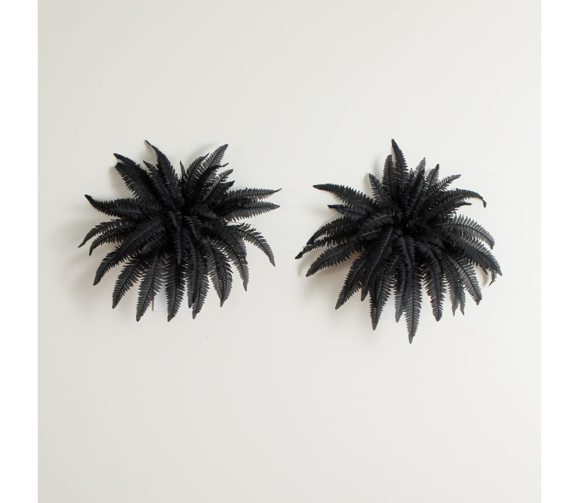 40-Inch Artificial Halloween Black Boston Fern - Set of 2