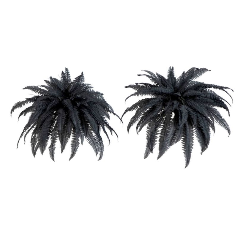 48-Inch Artificial Halloween Black Boston Fern - Set of 2