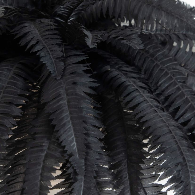 48-Inch Artificial Halloween Black Boston Fern - Set of 2