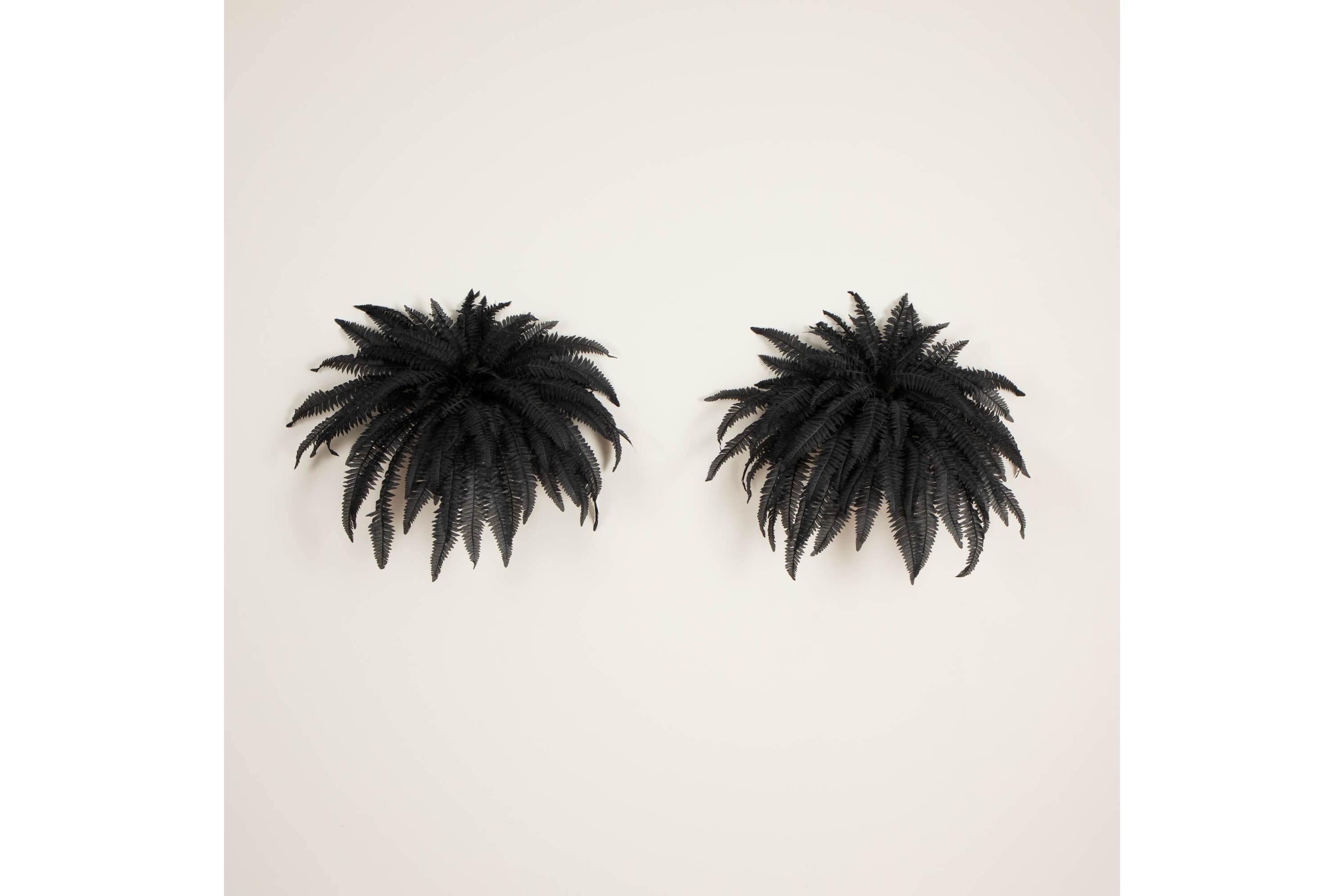 48-Inch Artificial Halloween Black Boston Fern - Set of 2