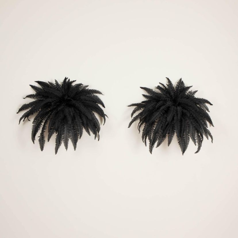 48-Inch Artificial Halloween Black Boston Fern - Set of 2