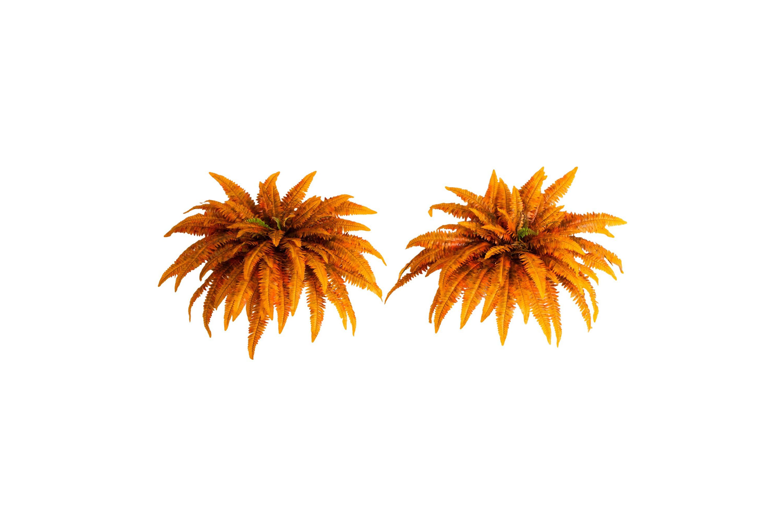 48-Inch Autumn Artificial Fall Boston Fern - Set of 2