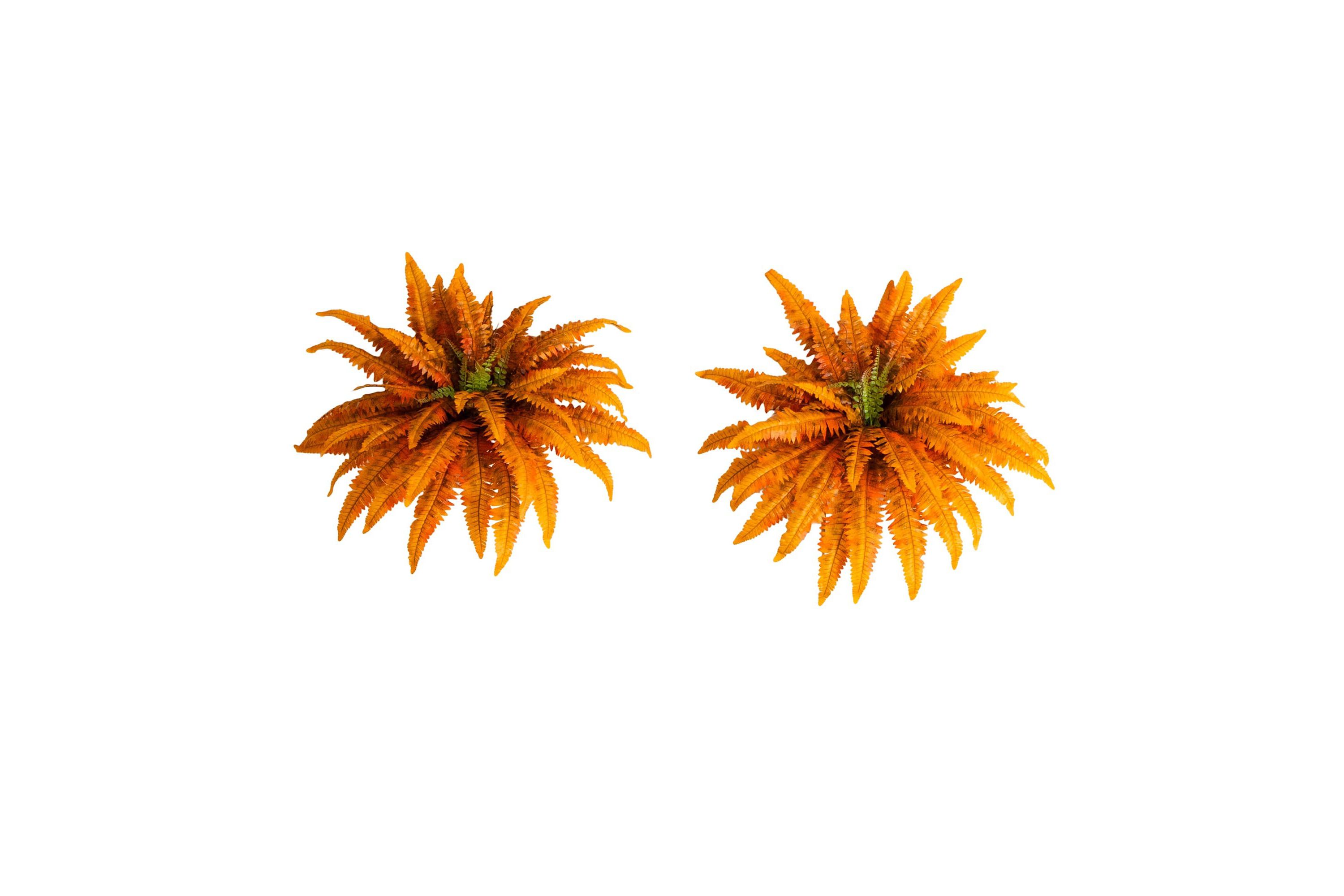 40-Inch Autumn Artificial Fall Boston Fern - Set of 2