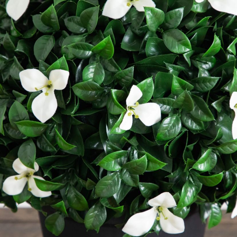 15-Inch UV Resistant Artificial Boxwood and Gardenia Topiary Plant (Indoor/Outdoor)