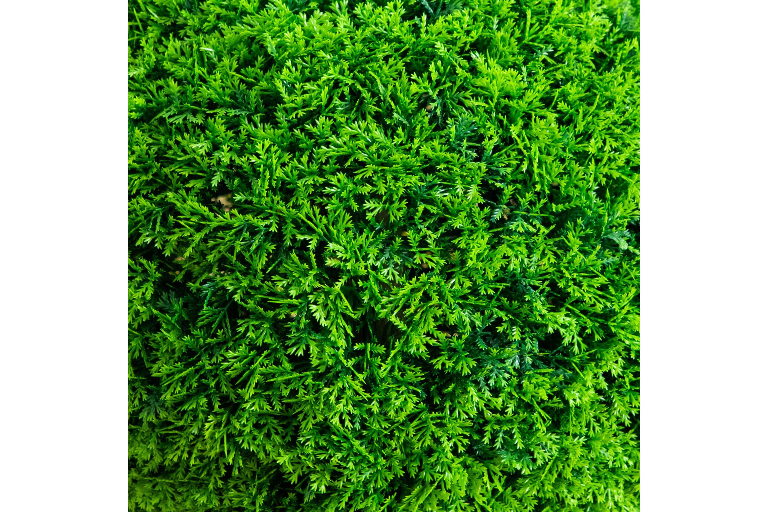 16-Inch UV Resistant Artificial Mediterranean Cypress Topiary Plant (Indoor/Outdoor)