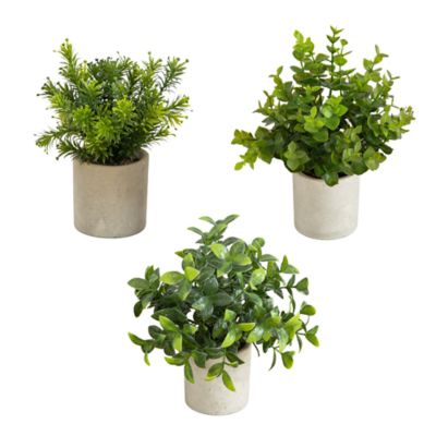 Nearly Natural 8-Inch Artificial Mini Greenery Potted Plant - Set of 3