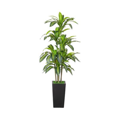 Nearly Natural 5-Foot Artificial Real Touch Dracaena in Decorative Planter, Green