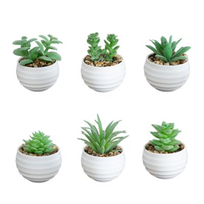 Nearly Natural 3-Inch Artificial Mini Succulent Plants in Decorative White Oval Planters - Set of 6, Green