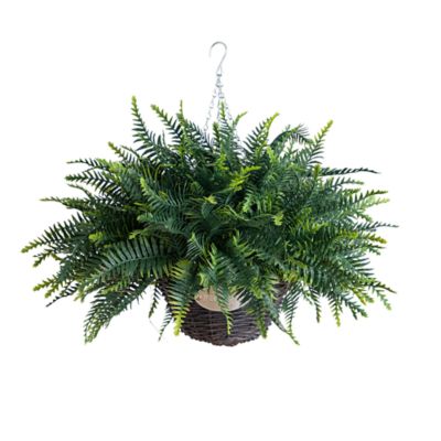 Nearly Natural 21-Inch UV Resistant Artificial Fern in Hanging Basket (Indoor/Outdoor) - Set of 2, Green