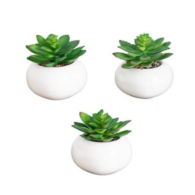 Nearly Natural 4-Inch Artificial Mini Succulent in Ceramic White Planter - Set of 3, Green