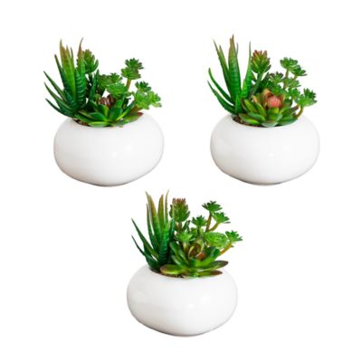 Nearly Natural 6-Inch Artificial Succulent Garden in Ceramic White Planter - Set of 3, Green