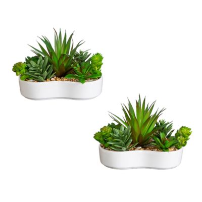 Nearly Natural 5-Inch Artificial Succulent Garden in Ceramic White Planter - Set of 2, Green