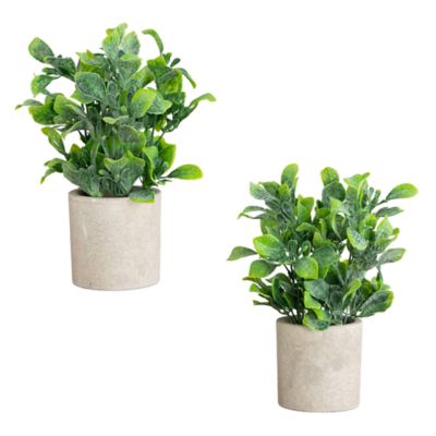 Nearly Natural 8-Inch Artificial Greenery in Decorative Planter - Set of 2