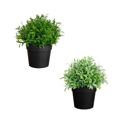 Nearly Natural 6-Inch Artificial Grass Plant in Black Pot - Set of 2