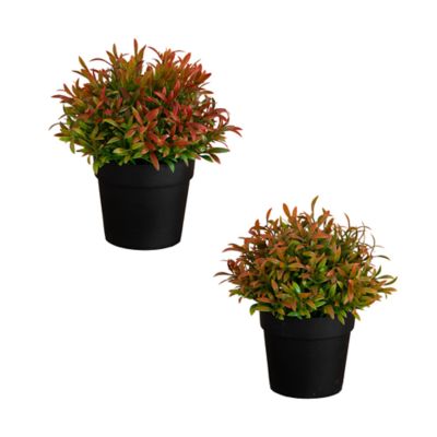 Nearly Natural 6-Inch Artificial Grass Plant in Black Pot - Set of 2