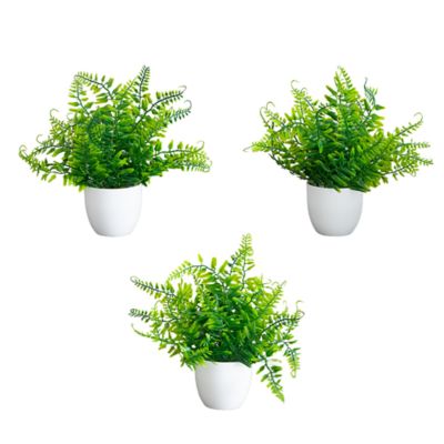 Nearly Natural 7-Inch Artificial Fern in White Round Pot - Set of 3, Green