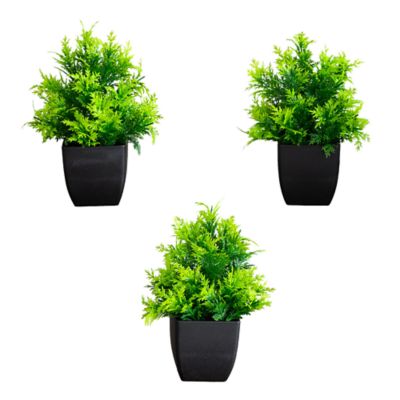 Nearly Natural 7-Inch Artificial Cedar in Black Square Pot - Set of 3, Green