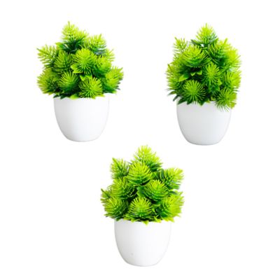 Nearly Natural 6-Inch Artificial Cactus Plant in White Round Pot - Set of 3, Green