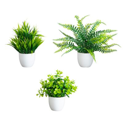 Nearly Natural 7-Inch Artificial Mixed Evergreen Plant in White Round Pot - Set of 3, Green