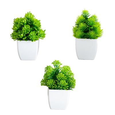 Nearly Natural 6-Inch Artificial Mixed Succulent in White Square Pot - Set of 3, Green