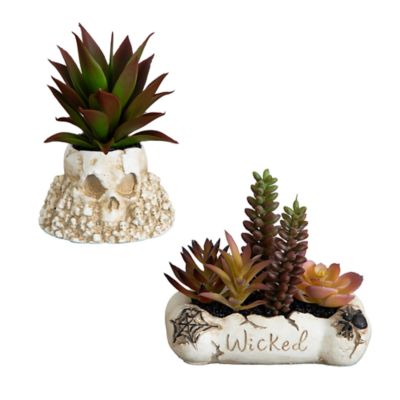 Nearly Natural 5-Inch Artificial Halloween Succulent Garden in Haunted Planter - Set of 2, Green