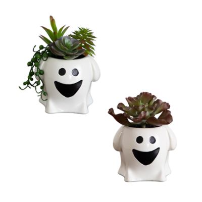 Nearly Natural 5-Inch Artificial Halloween Succulent Garden in Happy Ghost Planter -Set of 2