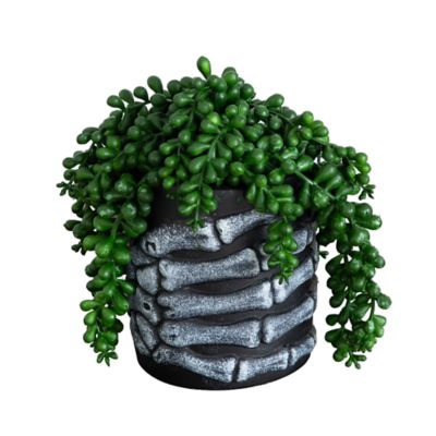 Nearly Natural 7-Inch Artificial Halloween String of Pearls in Skeleton Hand Planter, Green