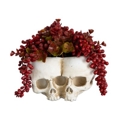 Nearly Natural 6-Inch Artificial Halloween String of Pearls in Double Skull Planter, Red