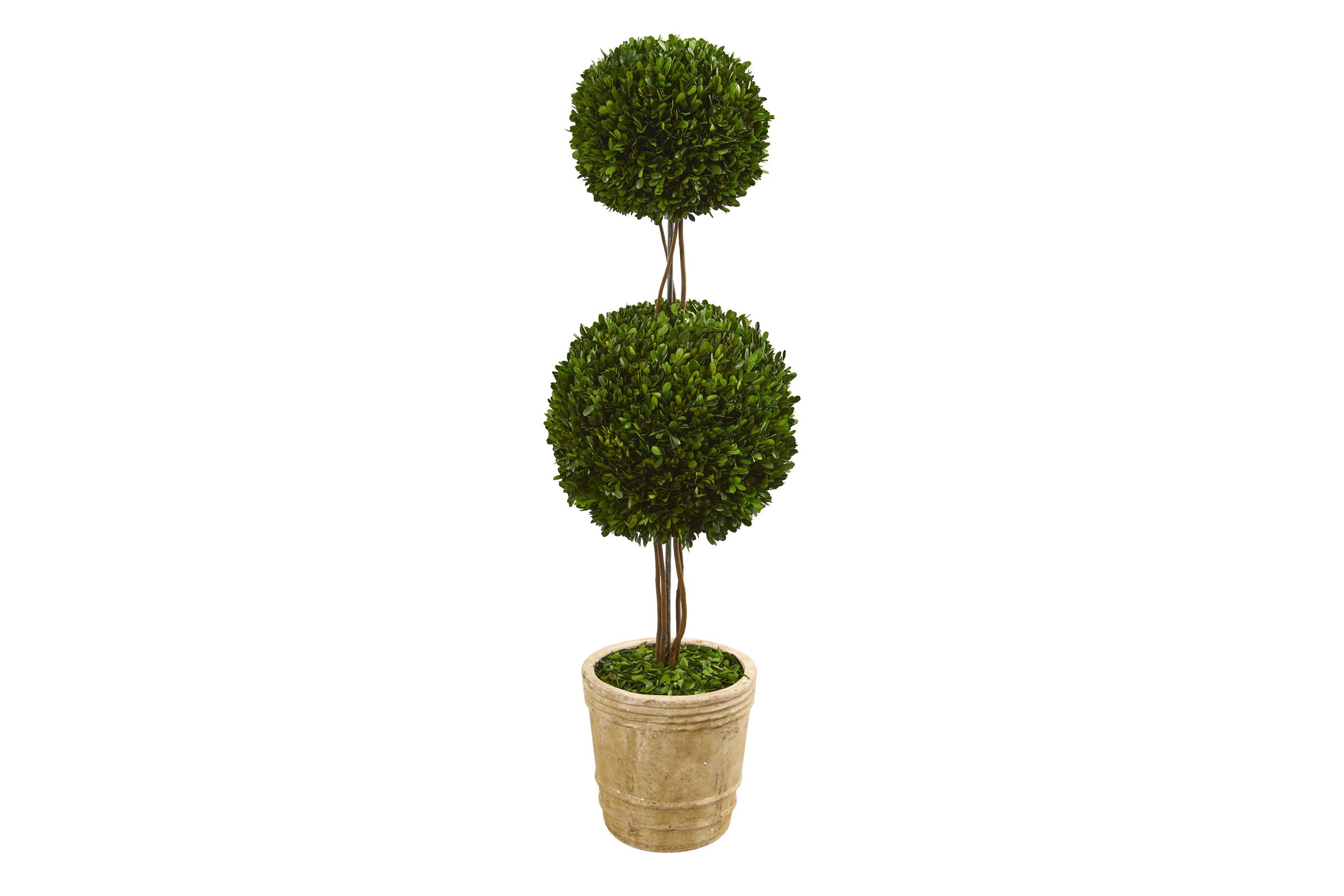 4-Foot Preserved Boxwood Double Ball Topiary Tree in Planter