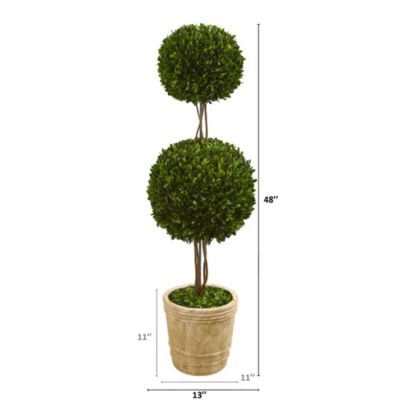4-Foot Preserved Boxwood Double Ball Topiary Tree in Planter