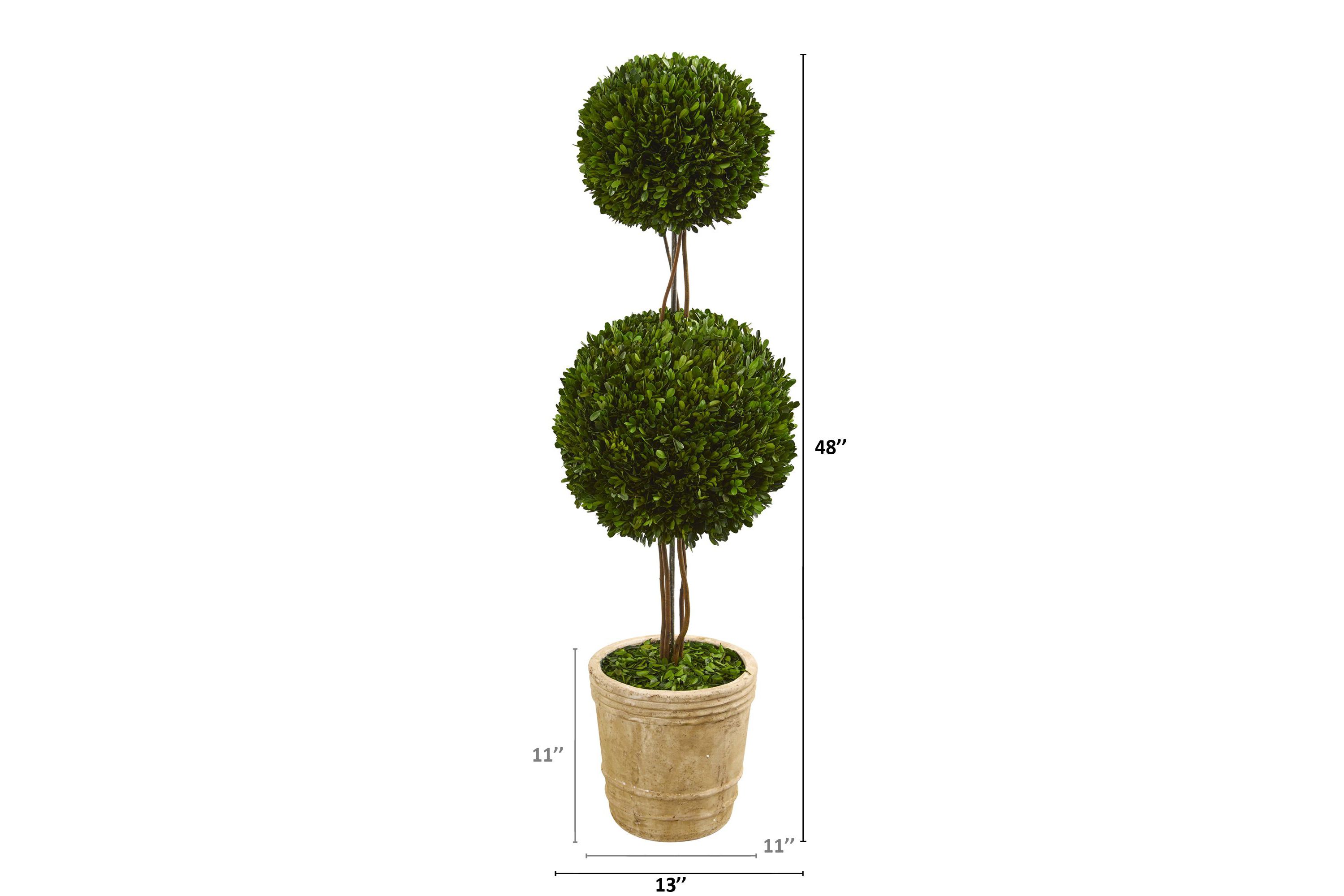 4-Foot Preserved Boxwood Double Ball Topiary Tree in Planter