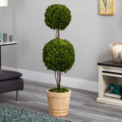 4-Foot Preserved Boxwood Double Ball Topiary Tree in Planter