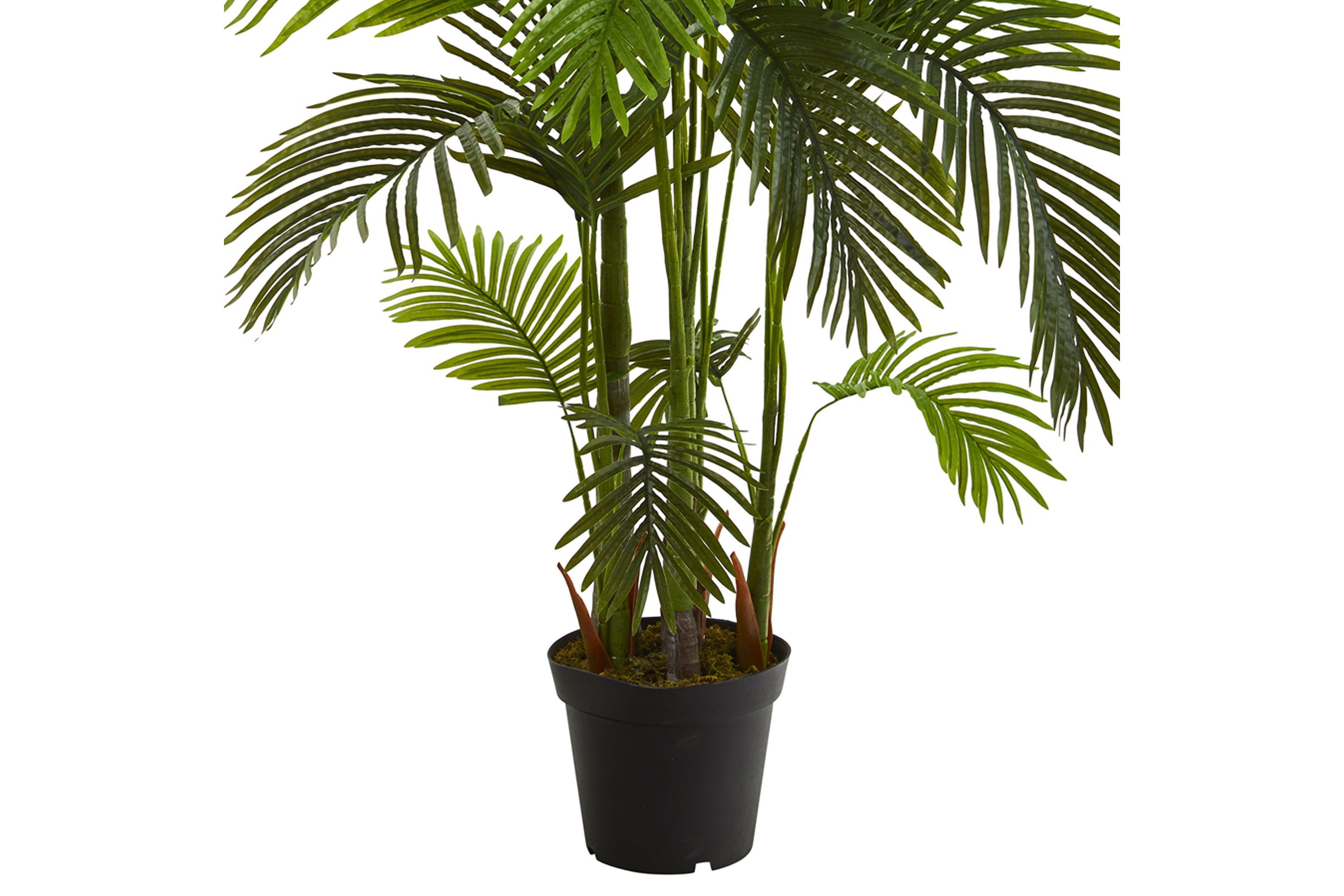 6-Foot Areca Palm Artificial Tree