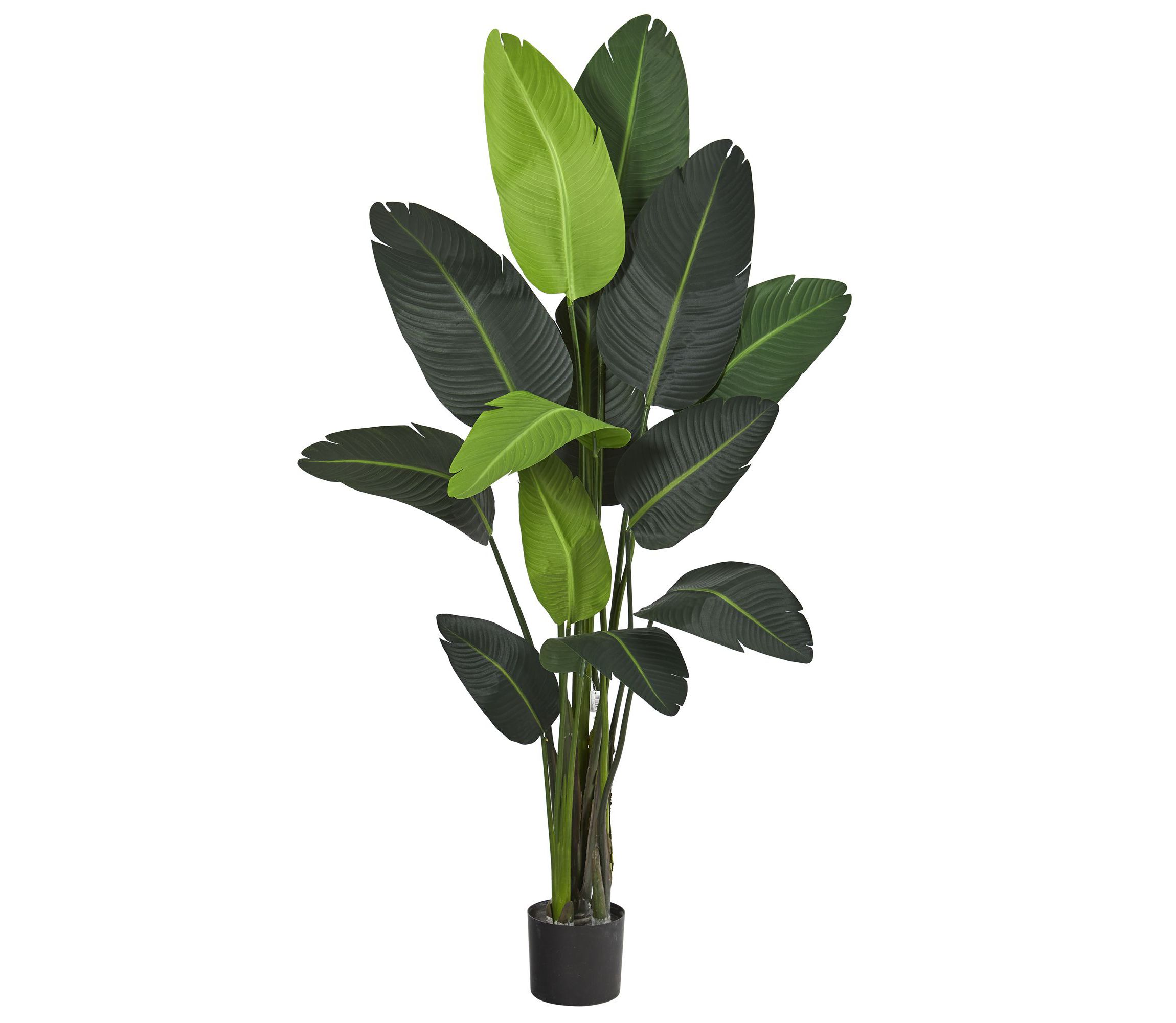 69-Inch Travelers Palm Artificial Tree