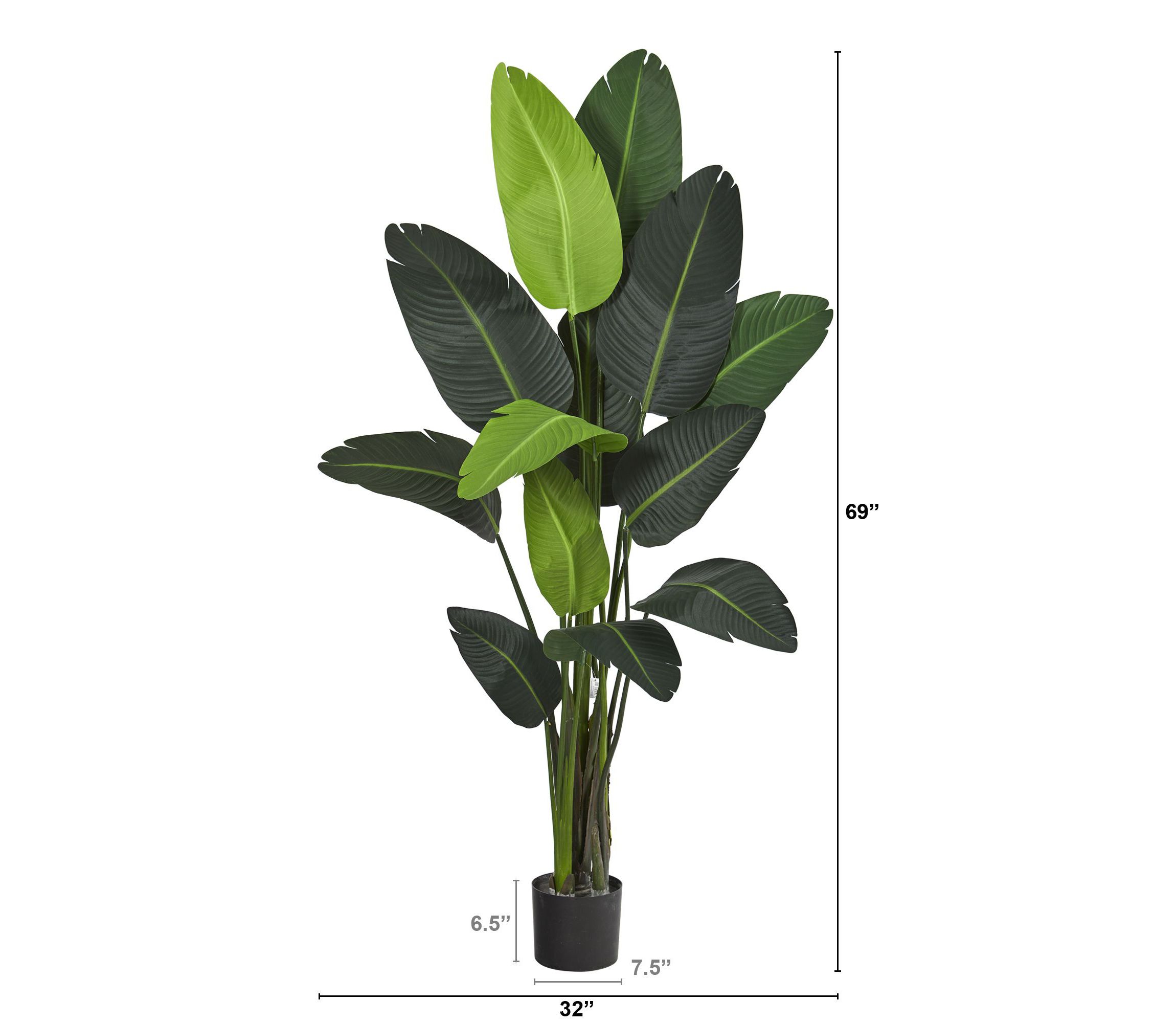 69-Inch Travelers Palm Artificial Tree