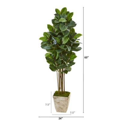 63-Inch Rubber Leaf Artificial Tree in Country White Planter